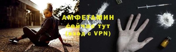 прущие грибы Беломорск