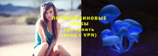 прущие грибы Беломорск