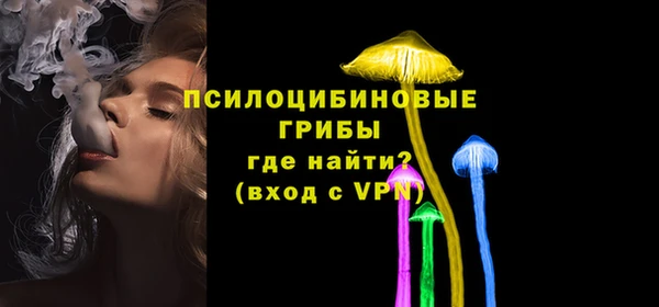 apvp Белокуриха