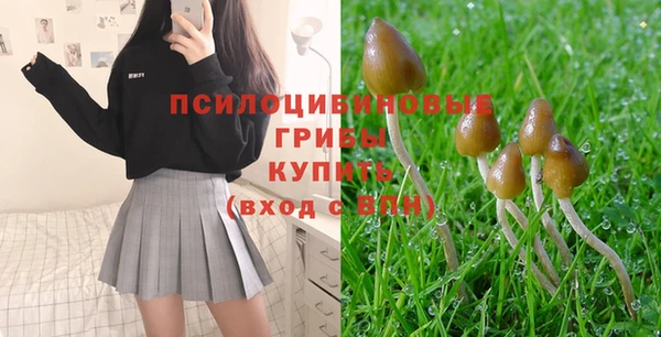 apvp Белокуриха