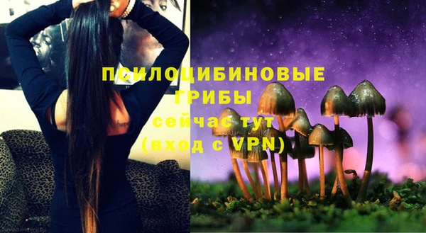 мдпв Зарайск