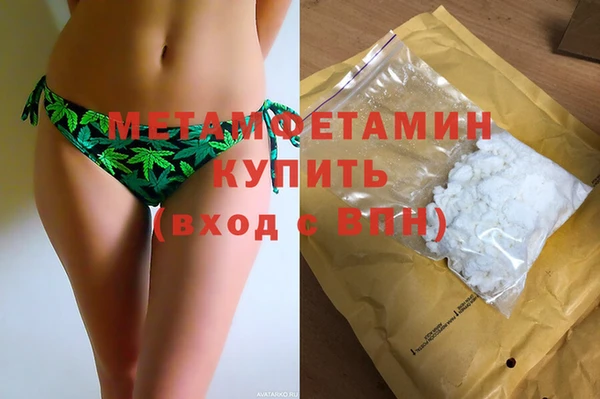 прущие грибы Беломорск