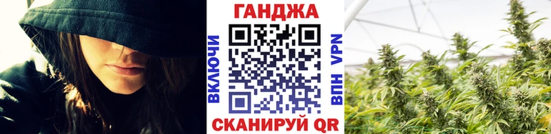 Каннабис планчик  Пойковский 